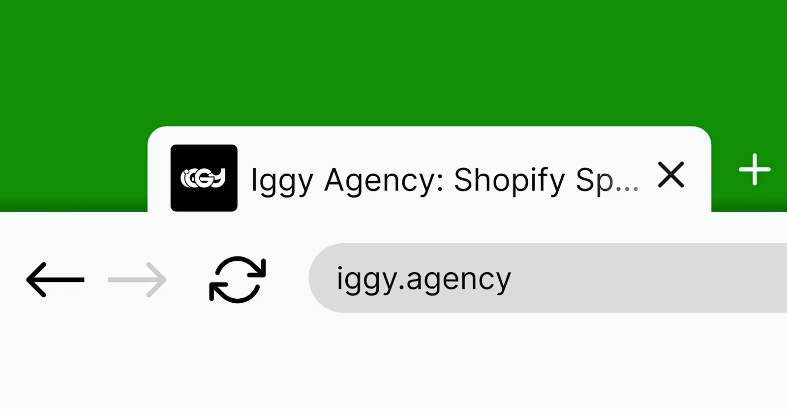 Iggy Agency Logo & Showreel