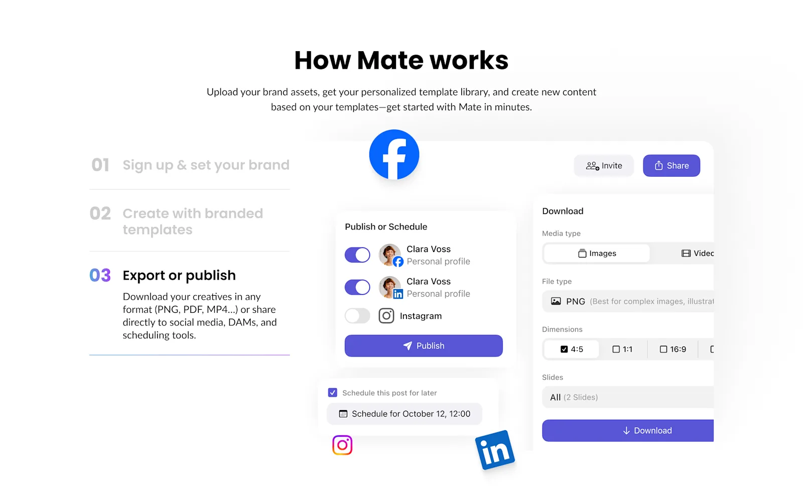 Mate Studio Website Illustrations