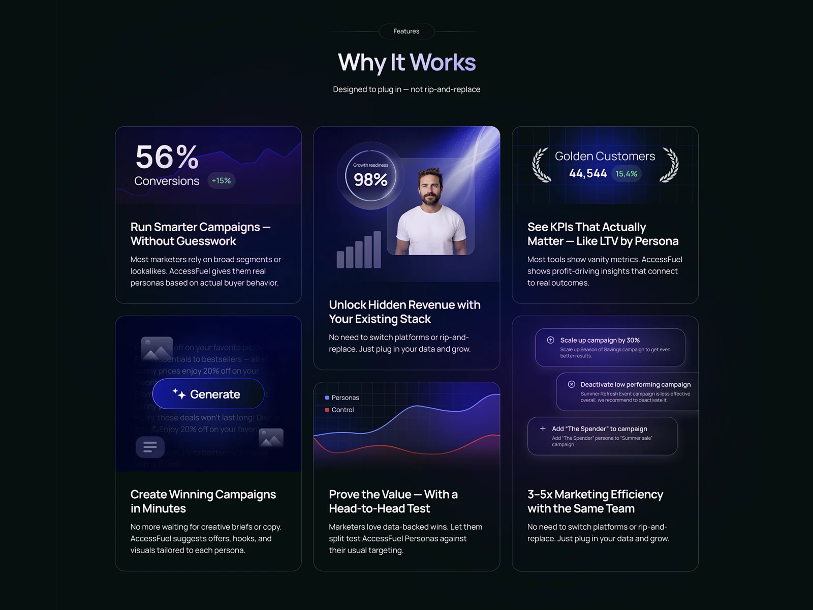 AccessFuel Data Audit Landing Page Design